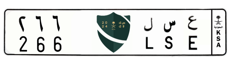 لوحة ع س ل 266